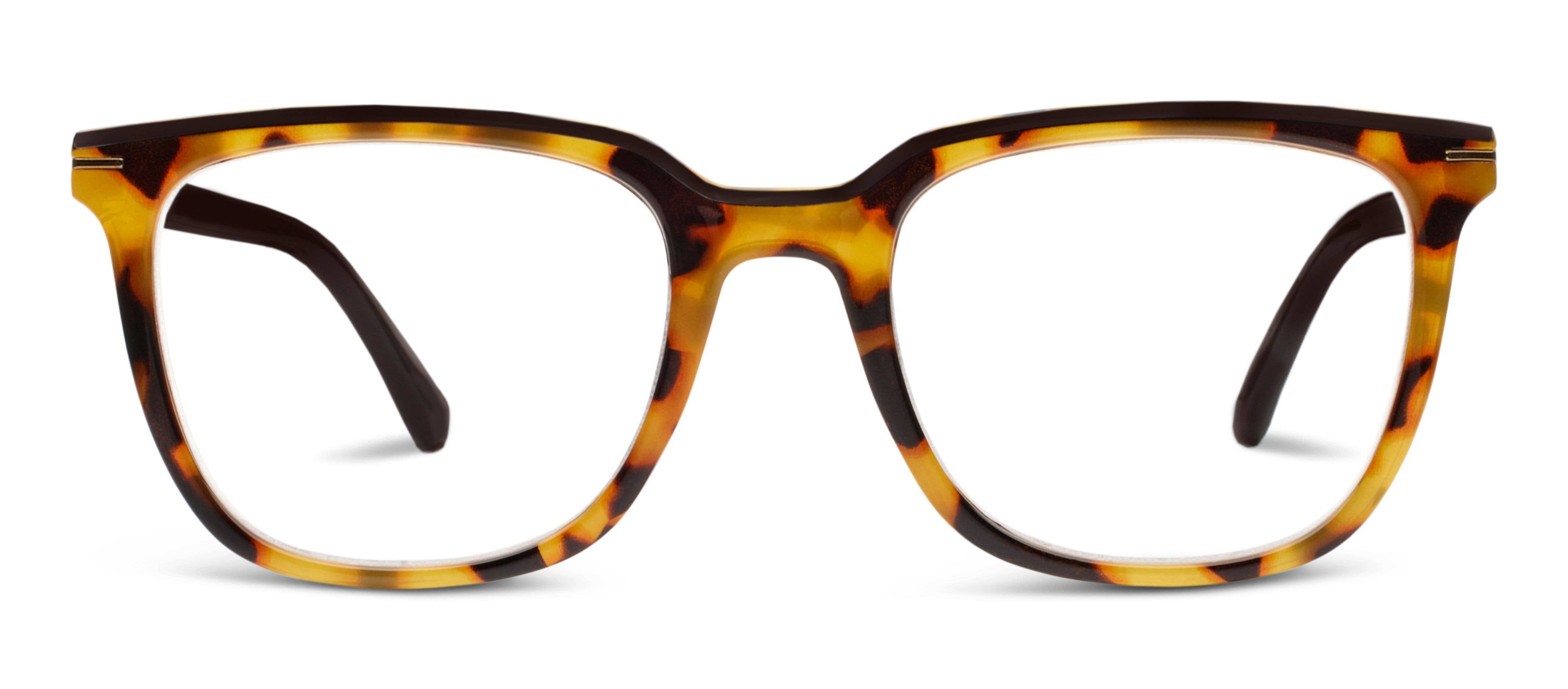 Dante (Blue Light): Tokyo Tortoise/Black / Reading / 1.75