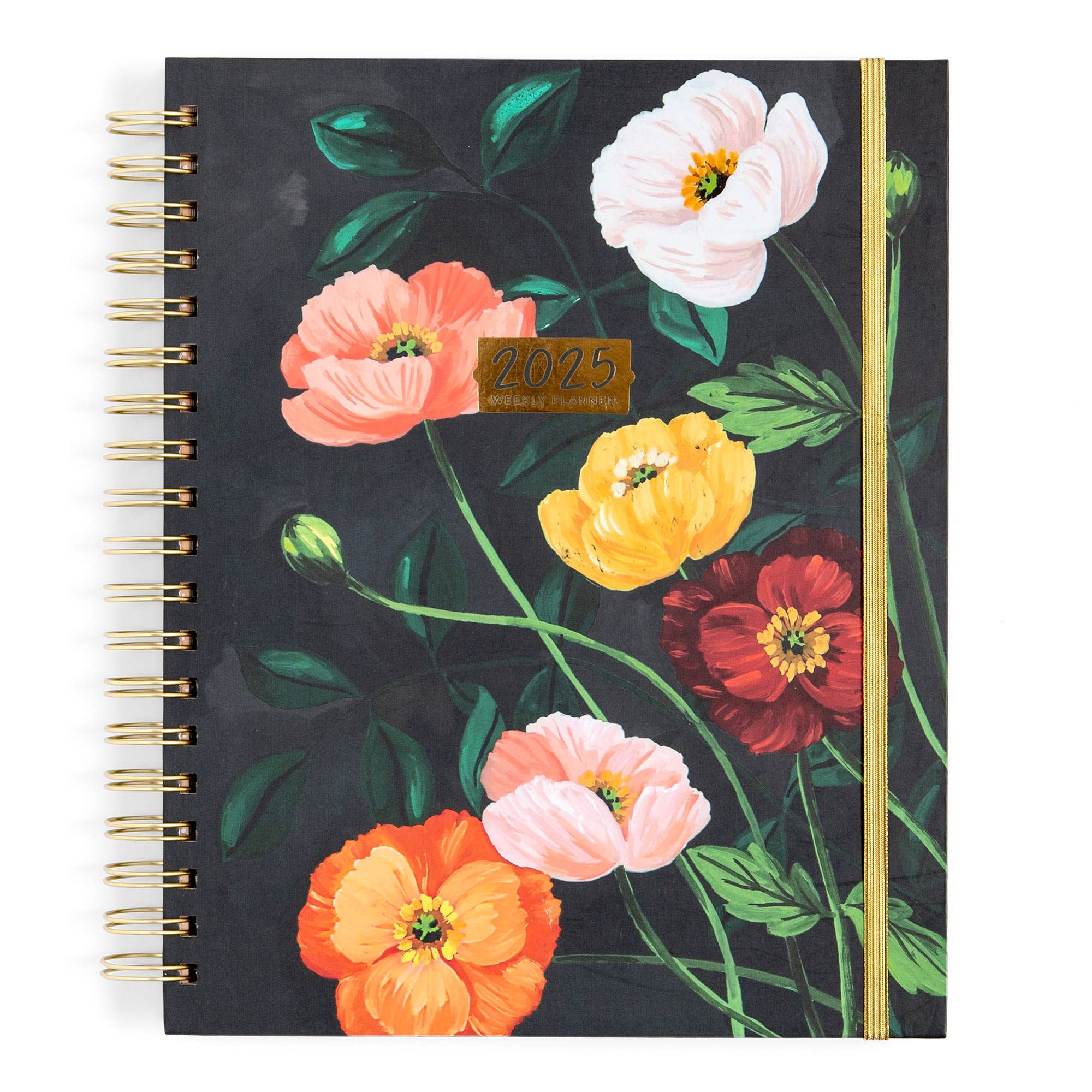 1canoe2 | One Canoe Two Paper Co. - Pacifica Planner: Calendar Year